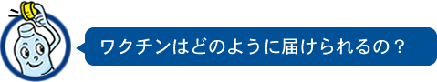 ワクチンはどのように届けられるの？